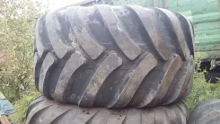 Nokian eLine 2. �����������, 2017 ���, ����� ����