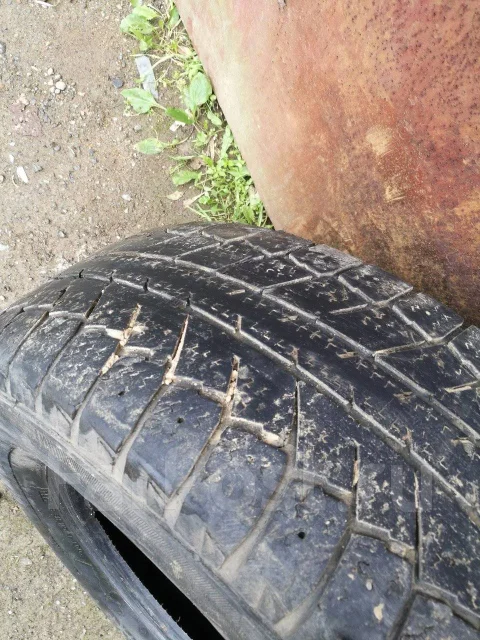 Autogrip Ecowinter. ������, 2014 ���, ����� ����