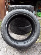 Michelin Arctic Alpin. ������, �����