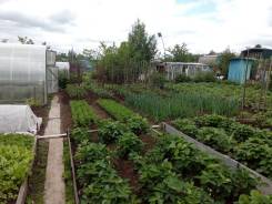 Продам дачу в Рощино. От частного лица (собственник)