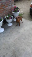 ������. ����
