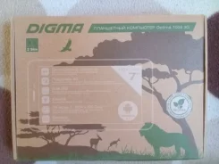 Digma