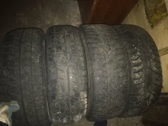 Bridgestone Blizzak DM-V1. ������, ����������, �/�, ����� 60�%