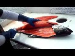 Мастер обработки рыбы. Улица Аллея Труда