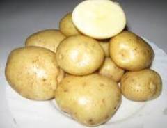 Картофель.