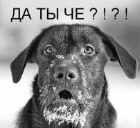 Сторож.