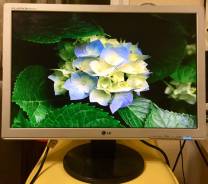 LG. 20" (51 см), технология LCD (ЖК)
