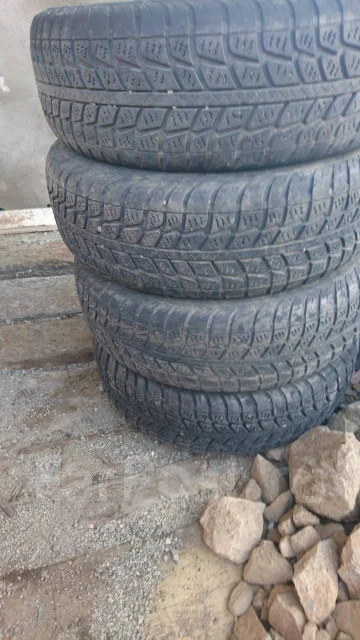 Federal Himalaya WS1. ������, �/�, ����� 40 % ����