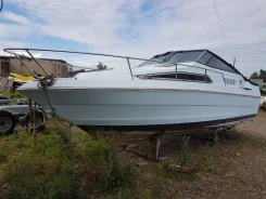 Searay Sundancer. 1985 ���, ��������� ������������, 165��.�., ������ ����
