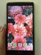 LG G4 Stylus. �/�
