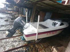 Yamaha Fish 15. ��������� ���������, 50��.�., ������ ����