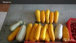 Продам кабачки свежие