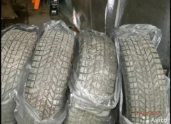 Firestone. ������, ����������, �/�, ����� 10�% ����