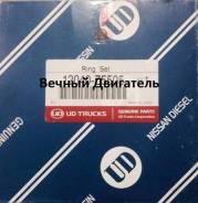 Кольца поршневые. Nissan: Cedric, Caravan, NV350 Caravan, Terrano, Datsun, Atlas, Elgrand, Terrano Regulus, Cabstar, Homy, Datsun Truck Двигатели: TD2...