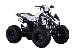 BSE 125. ��������, ��� ���\���, ��� �������. ��� ����� �� ����������� ����