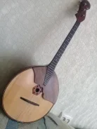 �����. ����