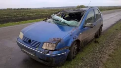 Volkswagen Bora ����
