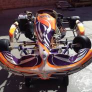 Tony kart, 2014. исправен, без птс, с пробегом