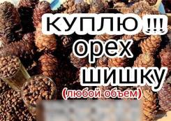 Куплю кедровый орех , кедровую шишку.