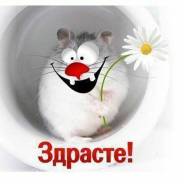 Автомойщик. Средне-специальное образование