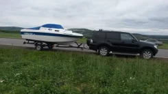 ������. 2014 ��� ����