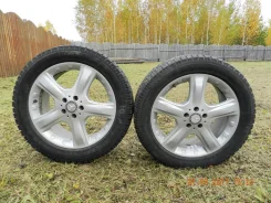 MML. x19" ����