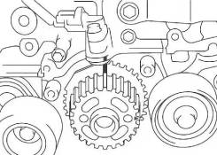 Шестерня коленвала. Subaru Impreza, GE7, GH2, GH7, GGB, GG3, GDC, GE3, GH8, GG2, GGC, GDB, GRF, GD2, GDA, GRB, GE6, GDD, GH6, GH3, GGD, GD3, GGA, GVF...