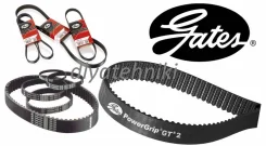������ ��� Gates 1HD-FT 1356819176, 1356819175, 1356817021 ����
