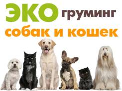 Студия красоты для животных "EcoPets". Стрижка собак и кошек!