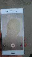 Sony Xperia Z3+. ����� ����