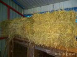 Срочно продам хорошее сено