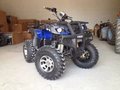 Yamaha Grizzly 250. ��������, ���� ���\���, ��� �������. ��� ����� �� ����������� ����