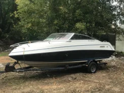 Freedom. 1994 ���, ����� 6��., ��������� ������������, 235��.�., ������ ����