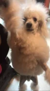 ������.