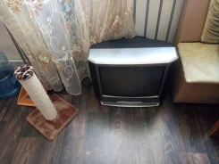 Aiwa ����
