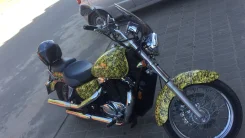 Honda VT 1100C2. 1 100����. ��., ��������, ���, � �������� ����