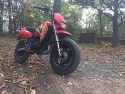 Kawasaki KSR. 50����. ��., ��������, ���������, ������ �� �� ����