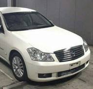 Ноускат. Nissan Fuga
