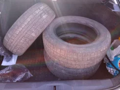Bridgestone ST10. ������, ��� �����, �/�, ����� 50�%