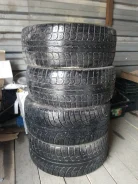 Effiplus. �����������, 2013 ���, �/�, ����� 50 % ����