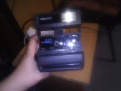 Polaroid ����