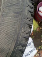 Bridgestone Blizzak Nordic. ������, �/�, ����� 40�% ����