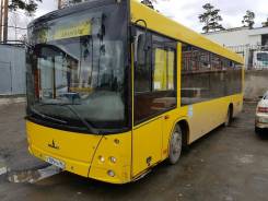 МАЗ 206. Автобус маз, 5 800 куб. см., 72 места