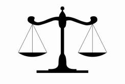 Правовая поддержка физическим и юридическим лицам