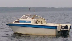 Tohatsu. 1996 ���, ����� 7,50��., ��������� ���������, 174,00��.�., ������ ����