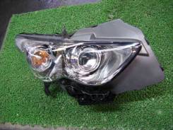 Фара. Infiniti QX70, S51 Infiniti FX37, S51 Infiniti FX35, S51 Infiniti FX50, S51. Под заказ