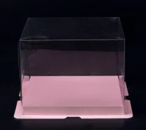 ��������. ����