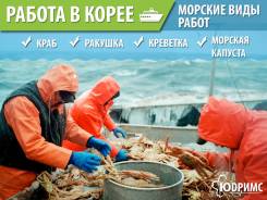 Морские виды Работ в Ю-Кореи! Выезд 09.05 и 16.05 Паром 23 000 руб.