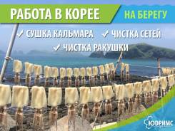 Работа в Южной Корее! Билет НА Паром 25 Апреля и 2 Мая!