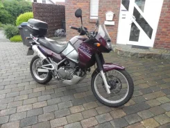 Kawasaki KLE 500. 500����. ��., ��������, ���, ��� �������. ��� ����� �� �����-���������� ����